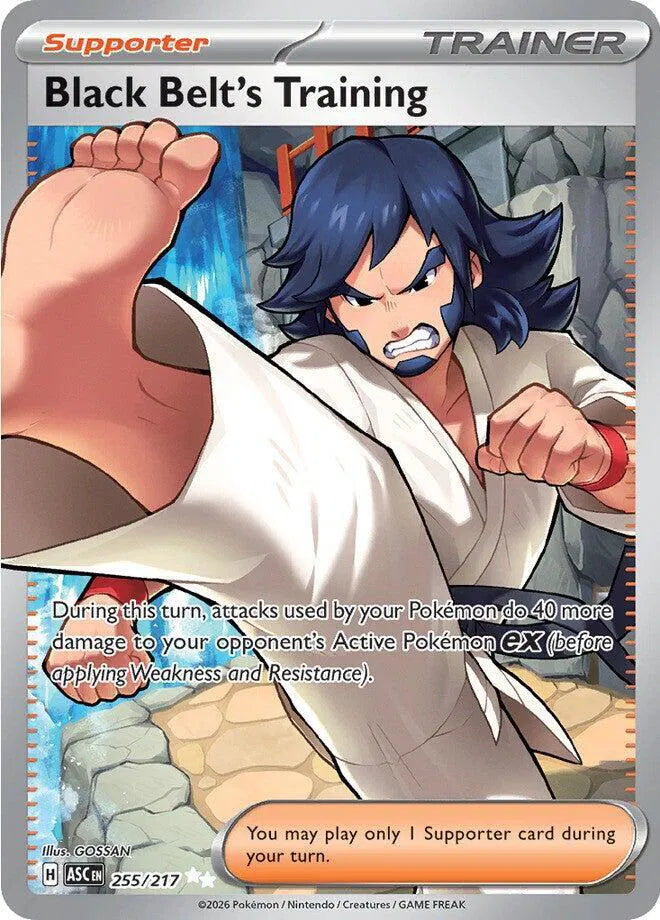 255/217 - Black Belt's Training - Ascended Heroes - Pokemon TCG