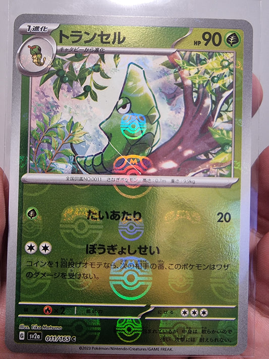 011/165 - Metapod Masterball - Japanese 151 - Pokemon TCG